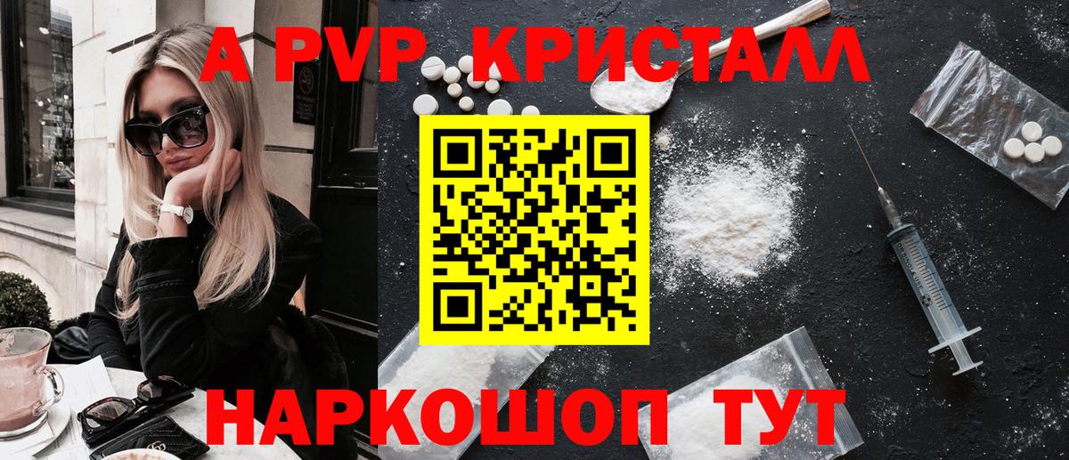 Alfa_PVP СК КРИС Кизилюрт