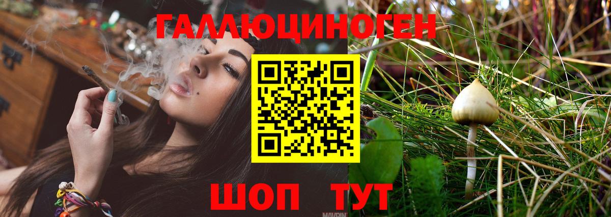 Галлюциногенные грибы мицелий Кизилюрт