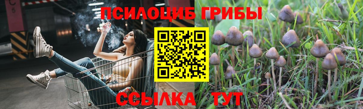 Кизилюрт  Псилоцибиновые грибы Cubensis  Вход с VPN 